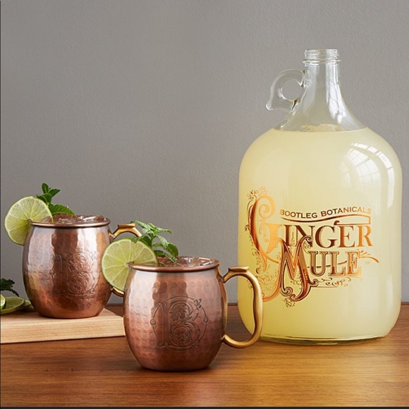 Other - NIB Moscow Mule Kit